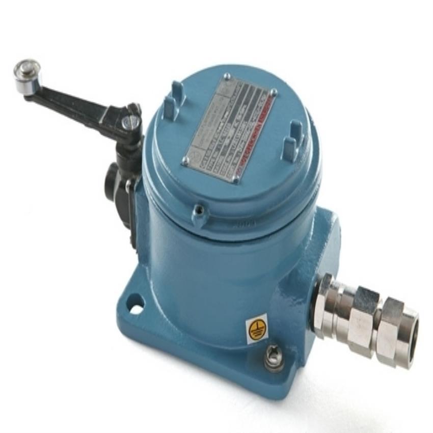 SPDT Flameproof Limit Switch for Assembly