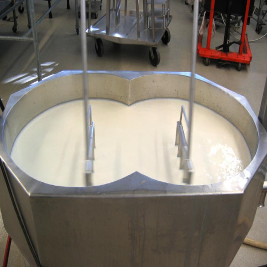SS Cheese Vat Mixer Equipment