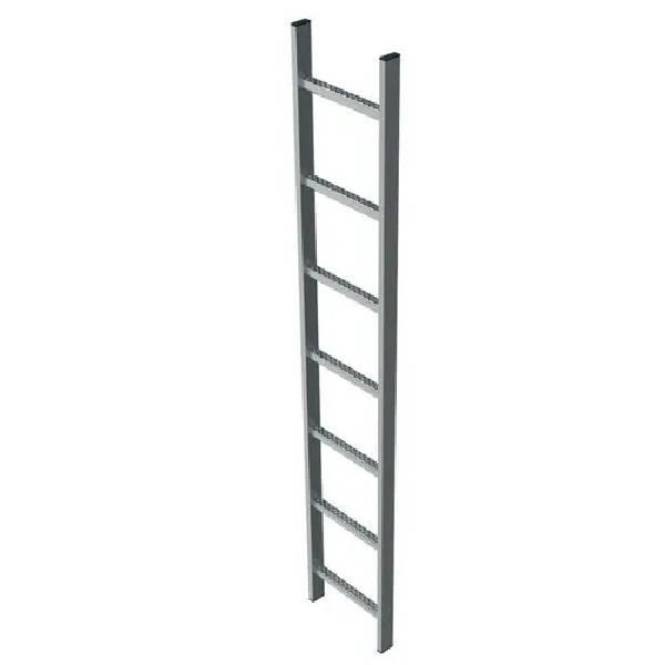 SS Shaft Ladder