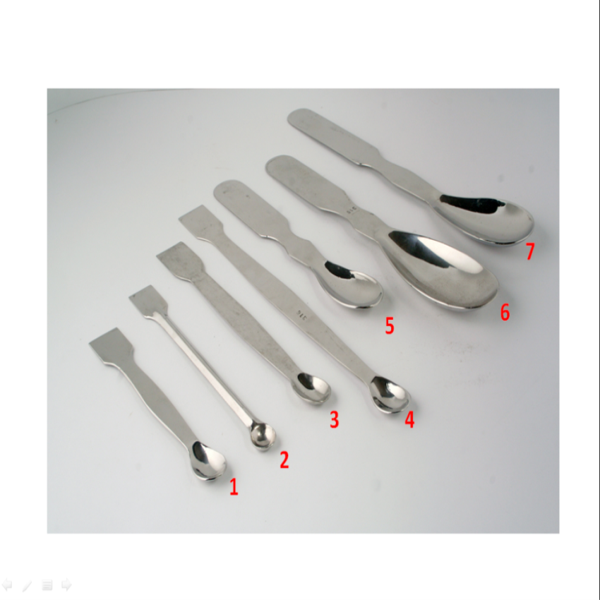 Laboratory SS Spatula Spoon Set