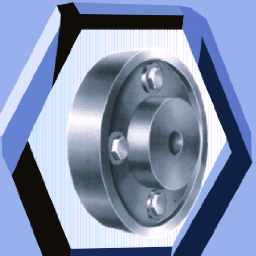 SS,MS Industrial Pin Bush Coupling