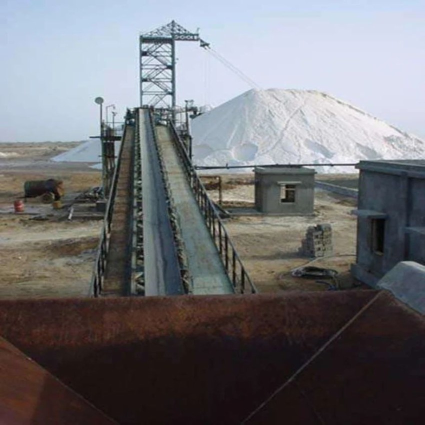 Stacking Conveyor Material Handling Equipment