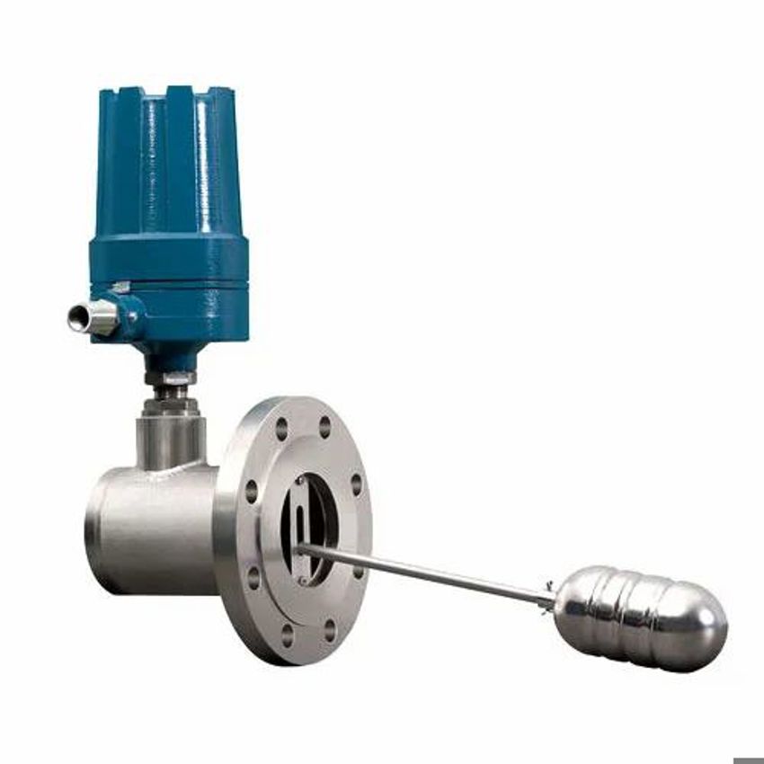 Stainless Steel Float Level