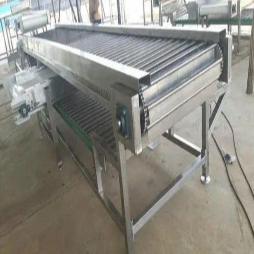 Stainless Steel Mango Fruit Grading Line