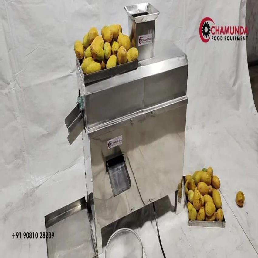 Industrial Stainless Steel Mango Juice Machine