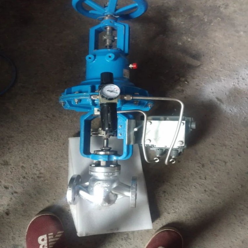 18 Inch Stainless Steel Directional Strainer