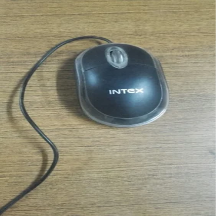 Standard Computer Mouse