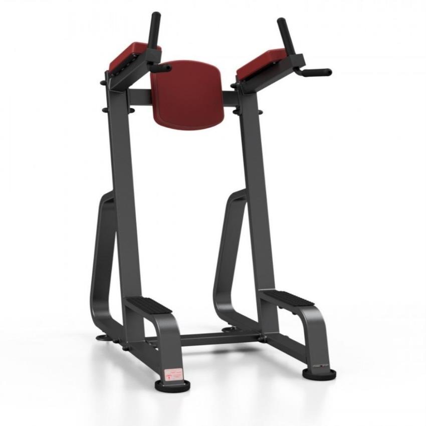 Steel Parallel Dip Stand 2 Station