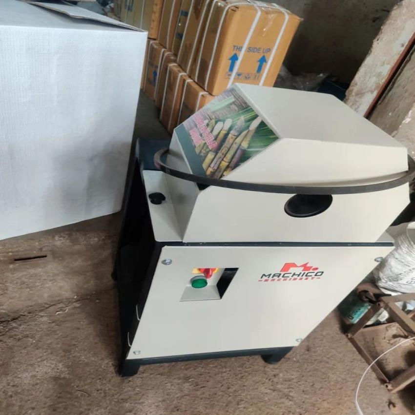 Sugarcane Washing Machine, 100 kg/hr