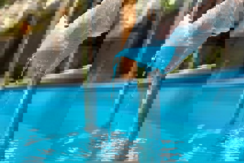 Swimming Pool Algae Remover