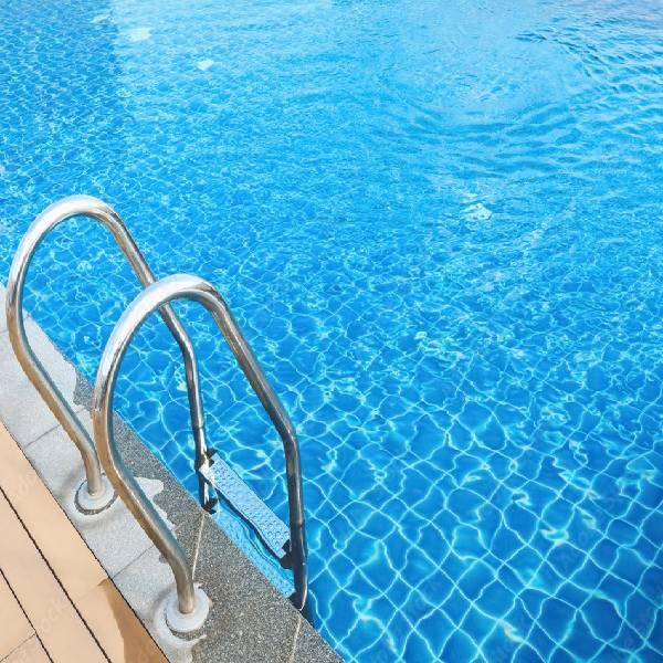 Pool Access Ladder
