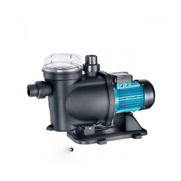 Pool Water Pump