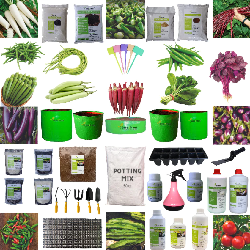 Terrace Garden Material Design