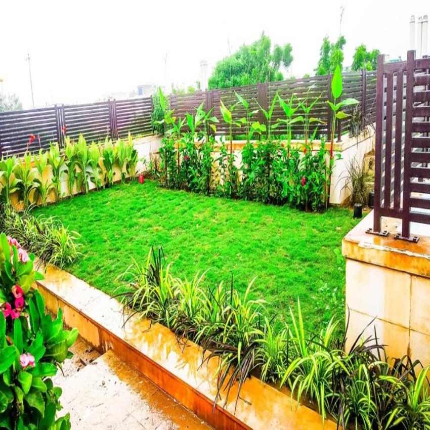Terrace Gardening Design Service