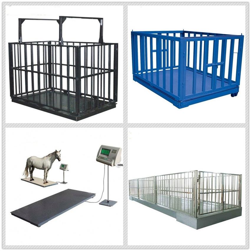 Titan MS Animal Weighing Device