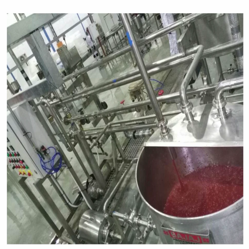 Semi-Automatic Tomato Ketchup Processing Equipment