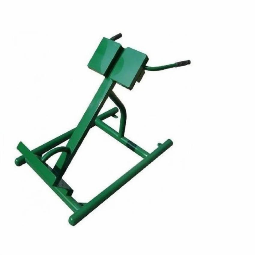 TSSPRTS Gym Hyperextension Equipment