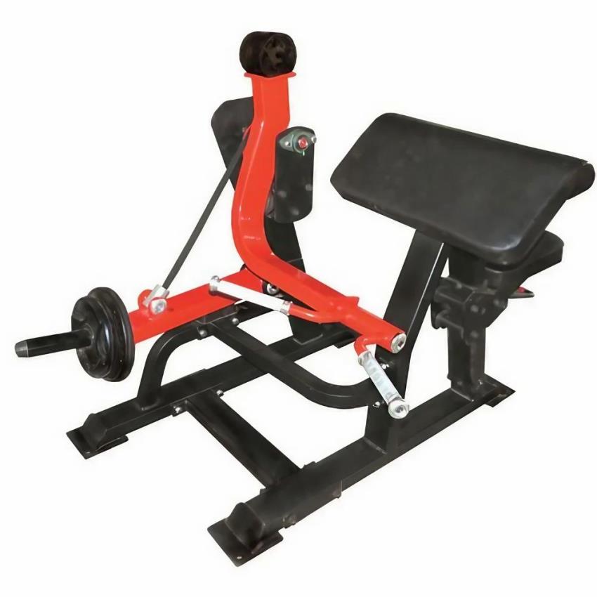 Unique Gym Biceps Machine