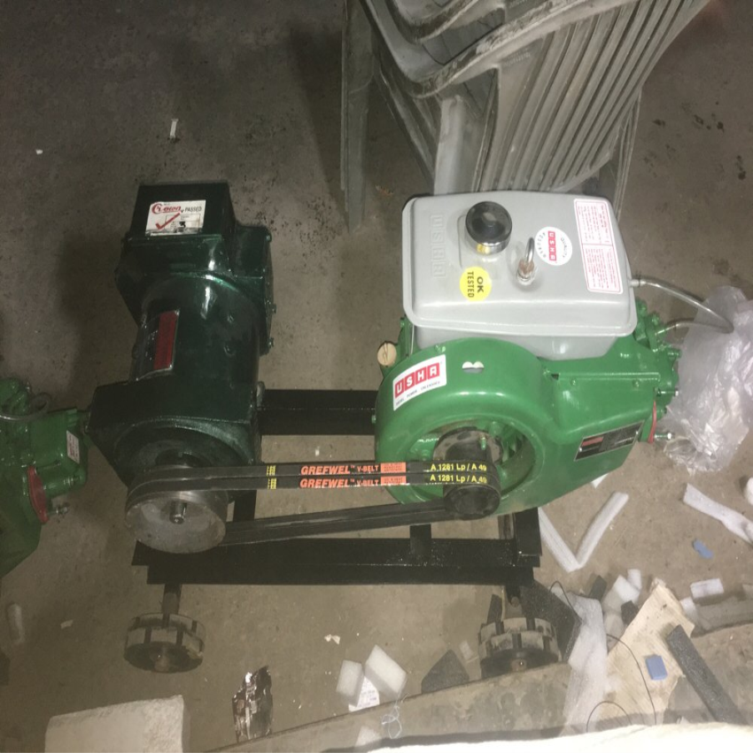 Usha 2.5 Kva Diesel Generator