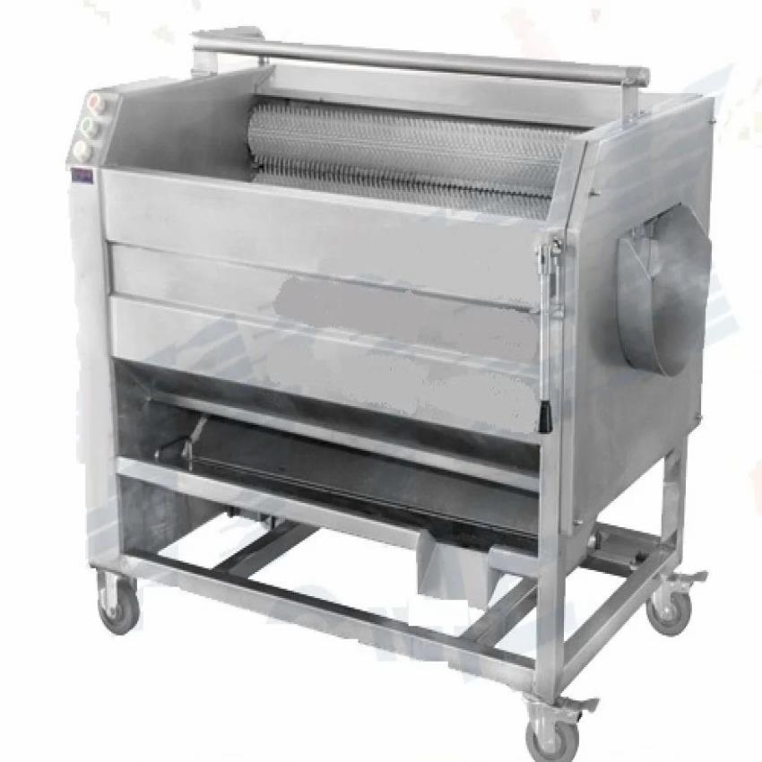 Bubble Wash Vegetable Machine