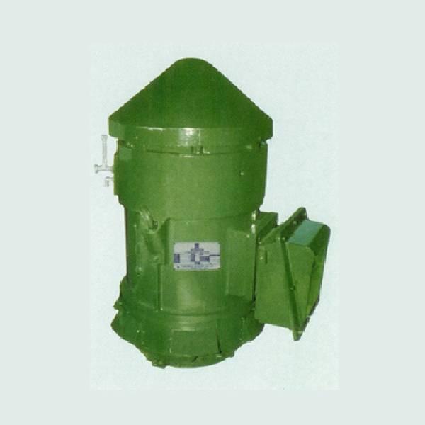 Vertical Hollow Shaft Induction Motor
