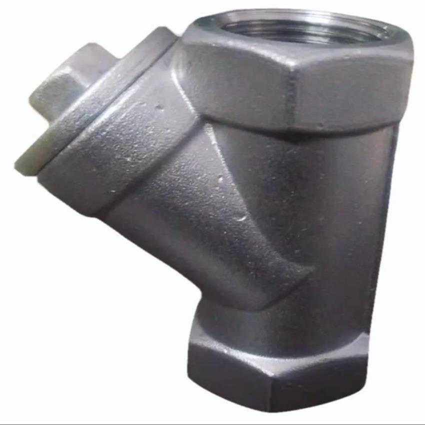 SS 304 Water Y Strainer, 1 Inch Screwed