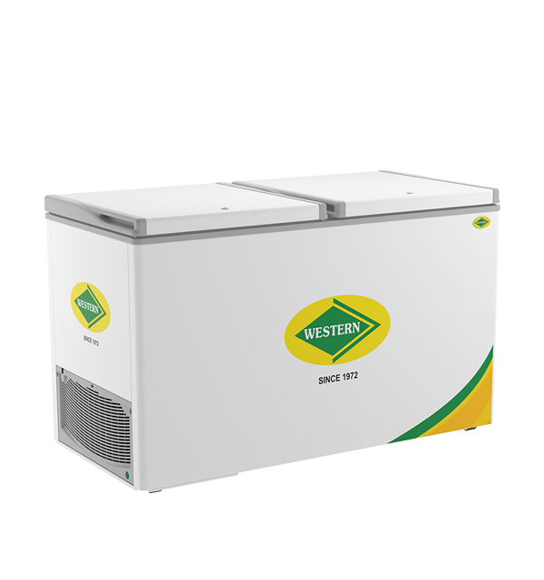 Stainless Steel Deep Freezer 300 Ltr