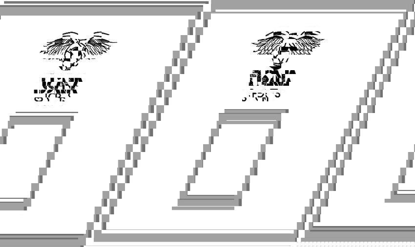 Basketball Wooden Board