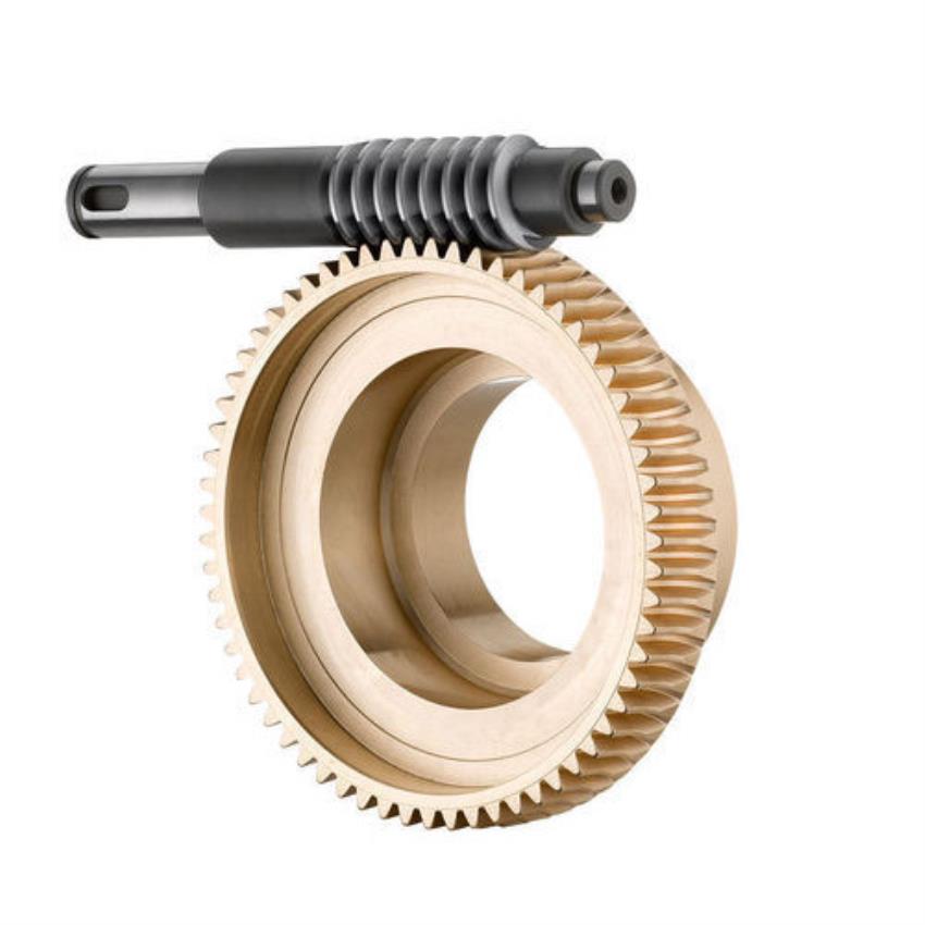 Industrial Worm Gear