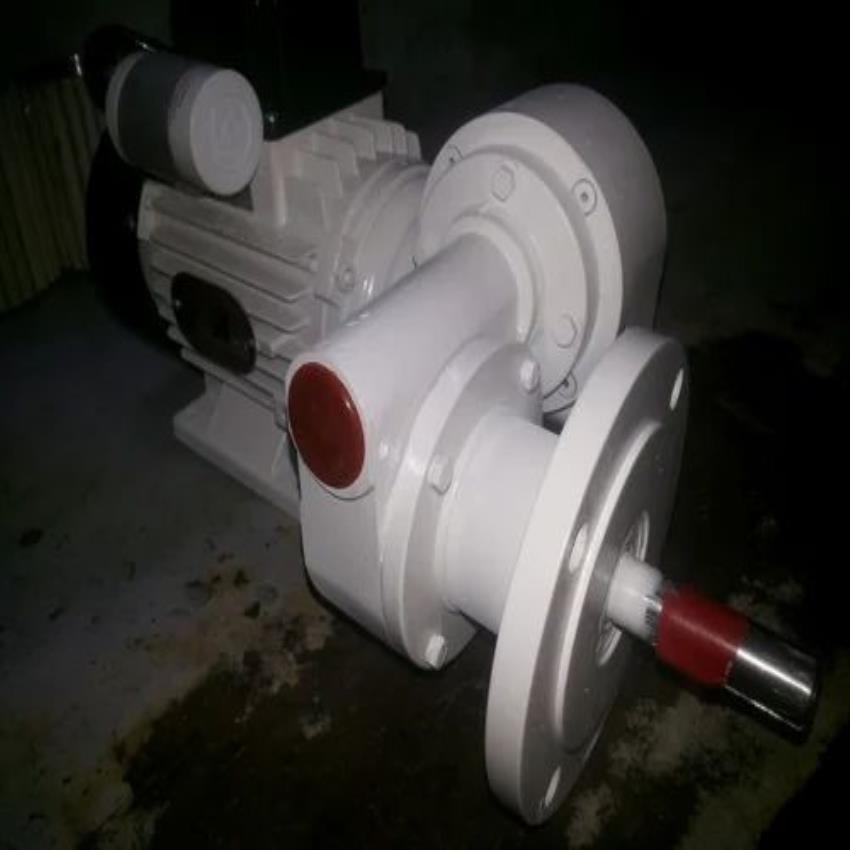 Worm Gear Motor Unit