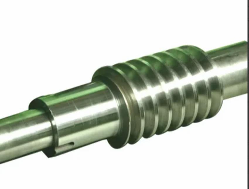 Stainless Steel Worm Shaft