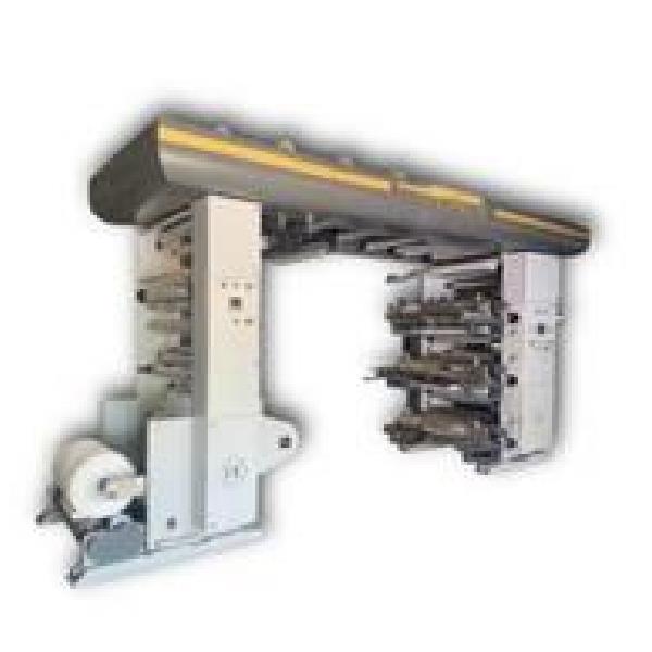 Industrial Woven Sack Roll Printer
