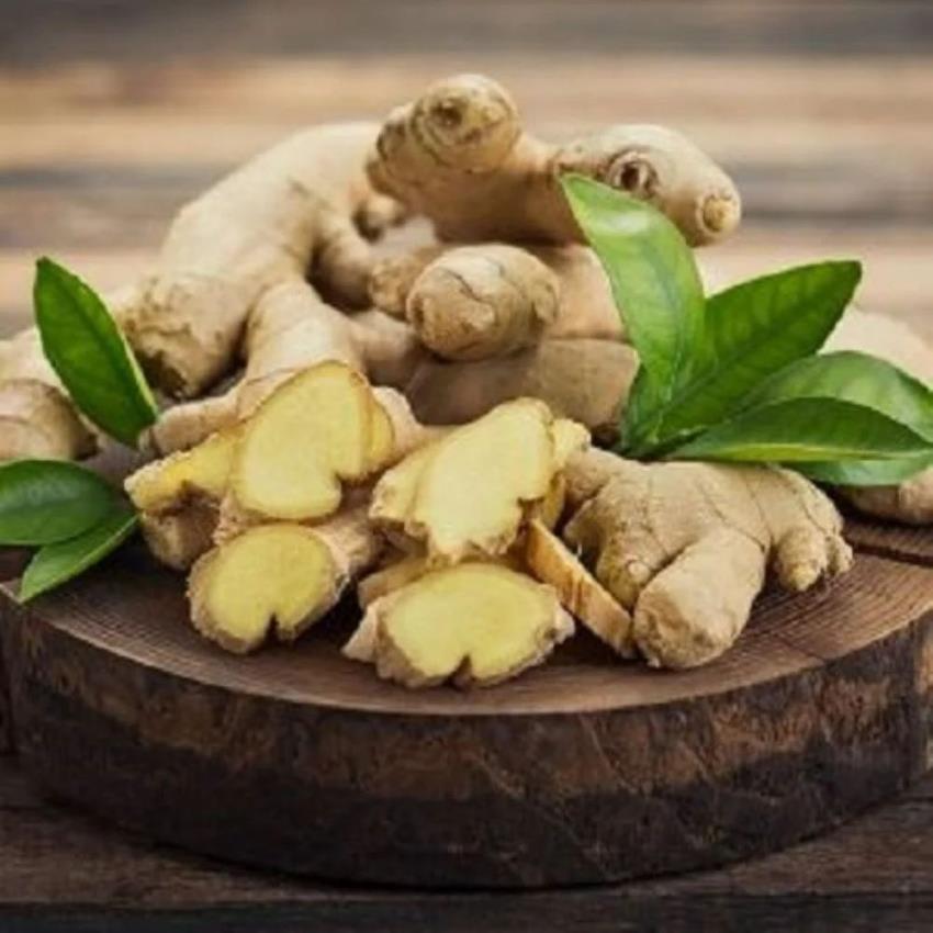 Zingiber Officinale Ginger Oil Natural