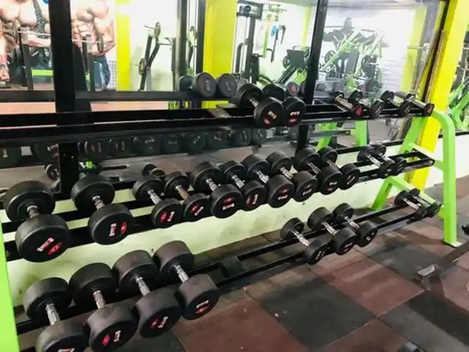 3 Tier Dumbbell Storage Rack