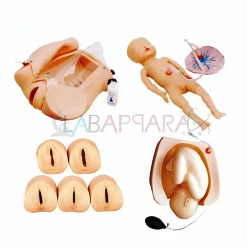Abdominal Palpation Integrated Models