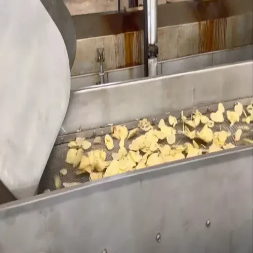 Automatic Fryer Chips Manufacturing Plant