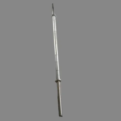 Biceps Stainless Steel Gym Rod
