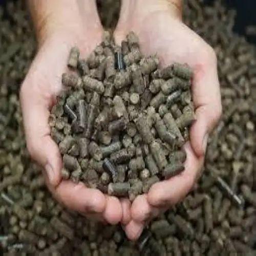 Biofuel Pellet