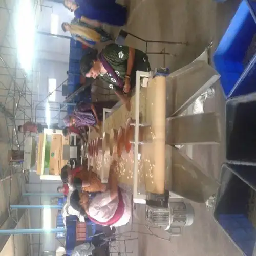 Cashew Processing Sorting Conveyor