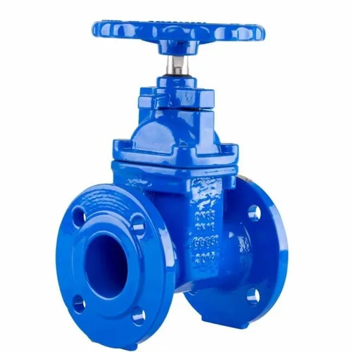 Cast Iron Gate Valve