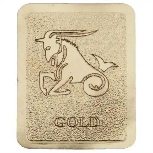 Cogent Radiation Shield Mobile Chip