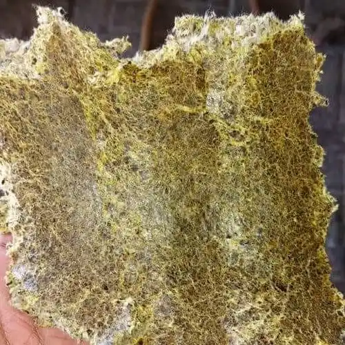 Cotton Seed Cake Meal