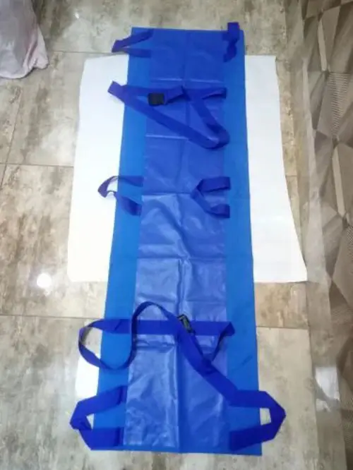 Desco Blue Carry Sheet