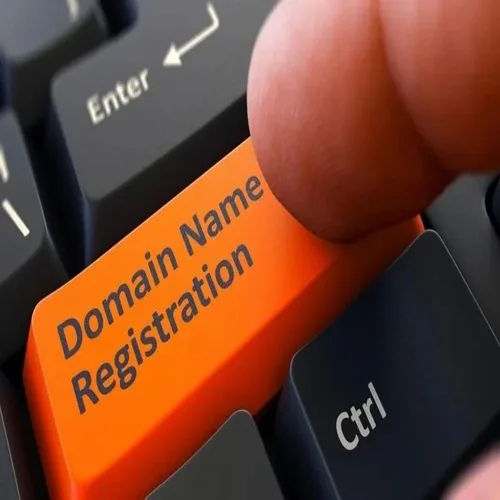 Domain Registration Service