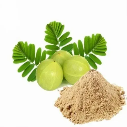 Dried Amla Powder, 25kg Bulk