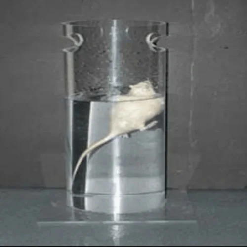 Forced Swimming Test Machine