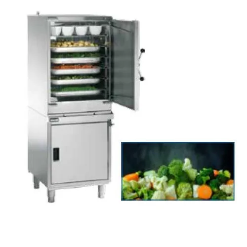 Free-standing Atmospheric Electric Steamer