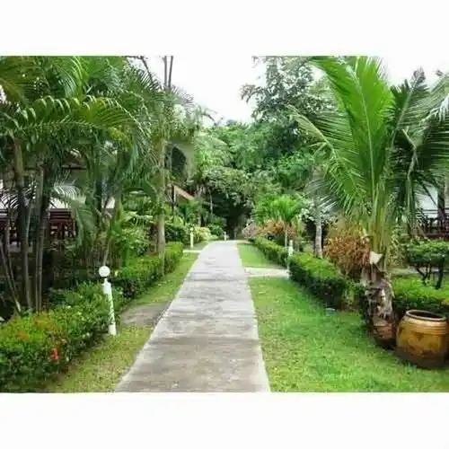 Front Yard Landscaping Design Services, Gujarat