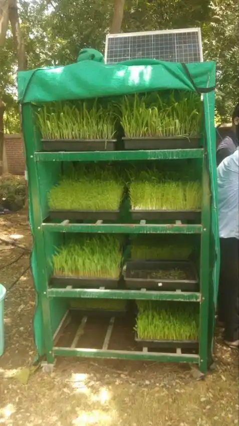 FRP Rectangular Hydroponic Fodder System - 50 KG/Day