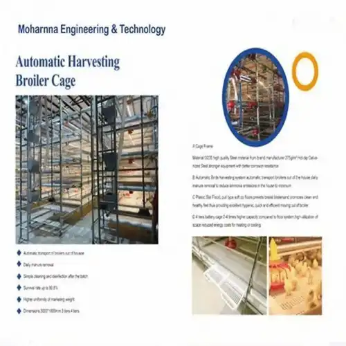 Galvanized Iron H Type Broiler Cage Equipment